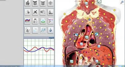 Diagnosticare de organism ce este