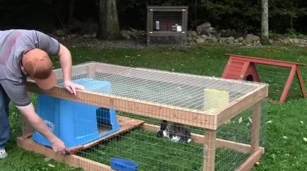hutches de iepure cu desenul lor mâini