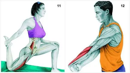 Exerciții să se întindă la domiciliu
