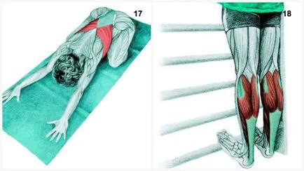 Exerciții să se întindă la domiciliu