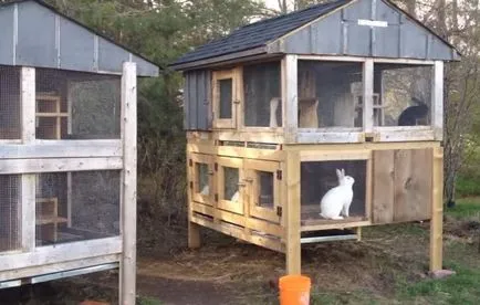 hutches de iepure cu desenul lor mâini