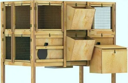 hutches de iepure cu desenul lor mâini