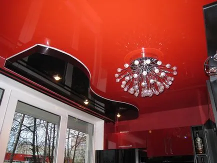 Modele pentru tavane,