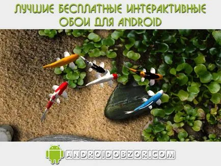 tapet interactiv, care este