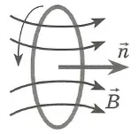 Care este amploarea inducției magnetice