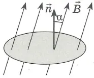 Care este amploarea inducției magnetice