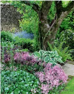 schema mixborder de plante perene schema mixborder de plante perene