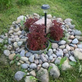 schema mixborder de plante perene