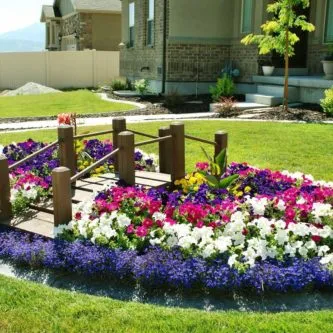 schema mixborder de plante perene