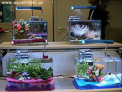Pește ca de viață