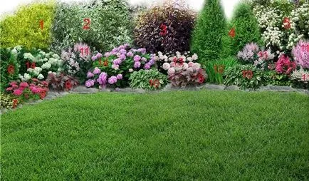 schema mixborder de plante perene