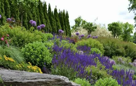 schema mixborder de plante perene