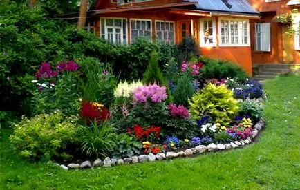 schema mixborder de plante perene schema mixborder de plante perene