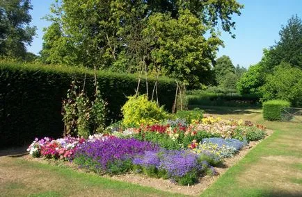 schema mixborder de plante perene