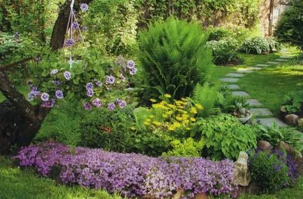 schema mixborder de plante perene