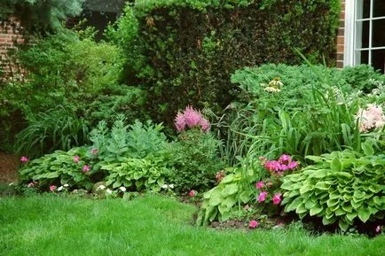 schema mixborder de plante perene