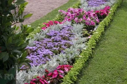 schema mixborder de plante perene