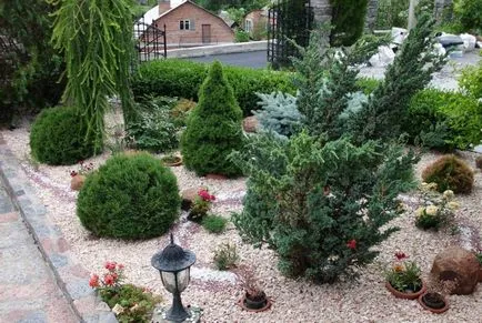 schema mixborder de plante perene