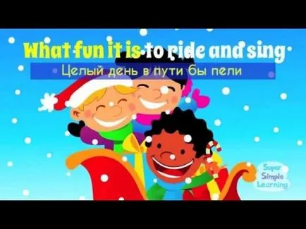Am condus cu o pisică