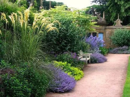 schema mixborder de plante perene