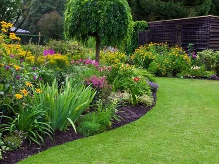 schema mixborder de plante perene schema mixborder de plante perene