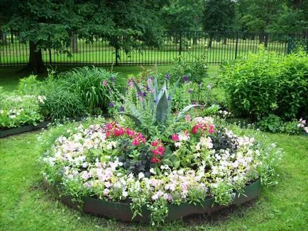 schema mixborder de plante perene