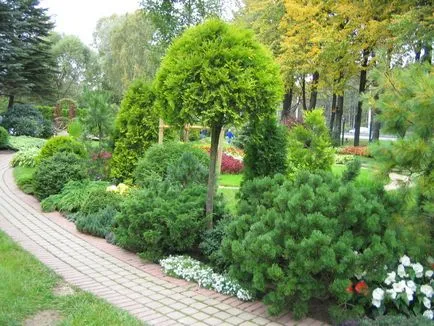 schema mixborder de plante perene