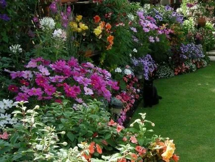 schema mixborder de plante perene schema mixborder de plante perene