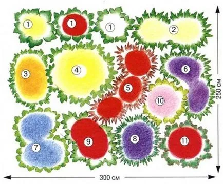 schema mixborder de plante perene