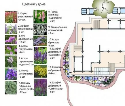 schema mixborder de plante perene
