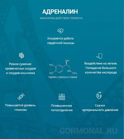 Ce dă adrenalina Ce dă adrenalina