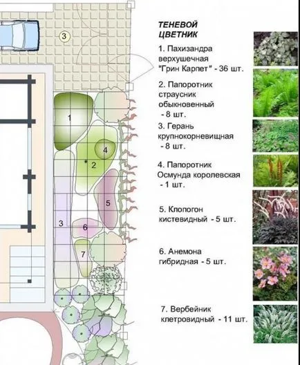 schema mixborder de plante perene