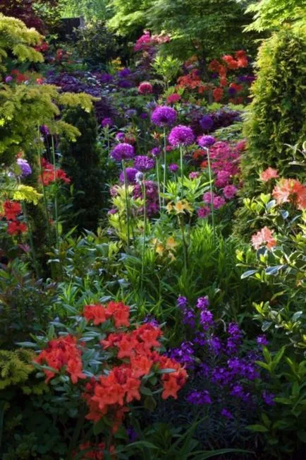 schema mixborder de plante perene