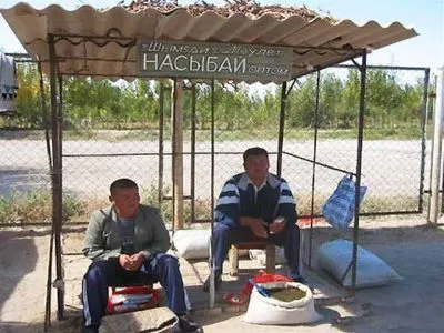 Cum și ce nasvay