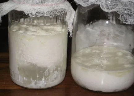 Cum se păstrează ciuperci lapte