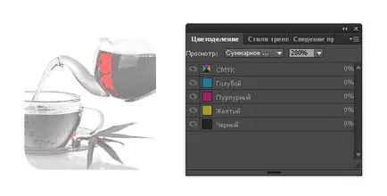 Ca de Adobe InDesign