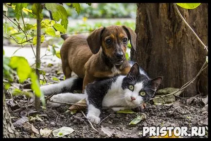 Ce puteți discuta cu o fată Ce puteți discuta cu o fată
