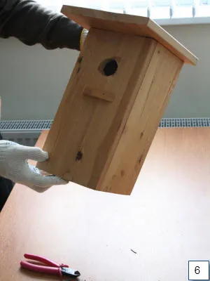 Cum sa faci o Birdhouse dintr-un copac
