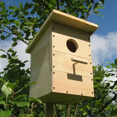 Cum sa faci o Birdhouse dintr-un copac