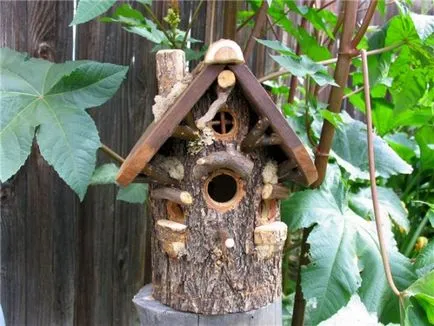 Cum sa faci o Birdhouse dintr-un copac