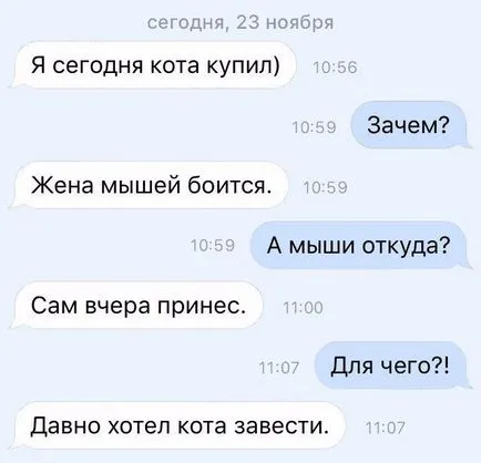 Omul cu capul unei pisici Omul cu capul unei pisici