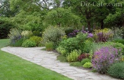 schema mixborder de plante perene