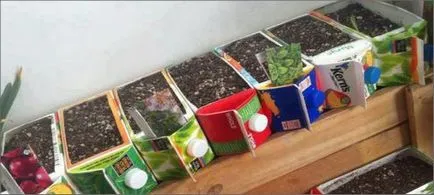 Master class din coșul de gunoi