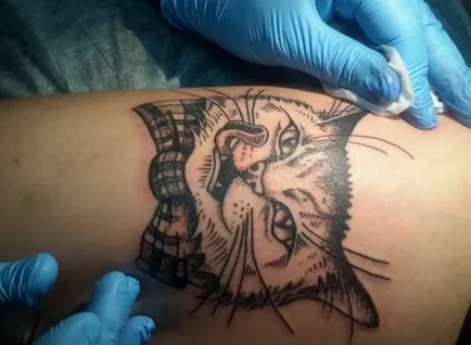 Tatuaje cu pisici