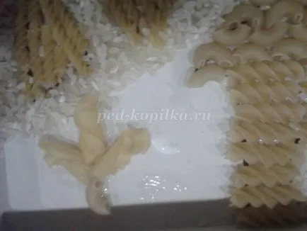 Master meserii clasa paste