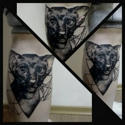 Tatuaje cu pisici