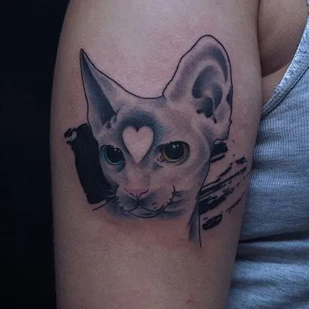 Tatuaje cu pisici