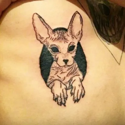 Tatuaje cu pisici