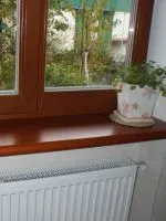 Repararea WC în apartament
