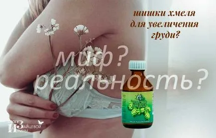 Ce să facă de hamei